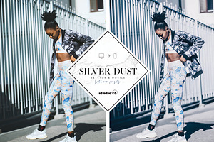 2 Silver Lightroom Presets