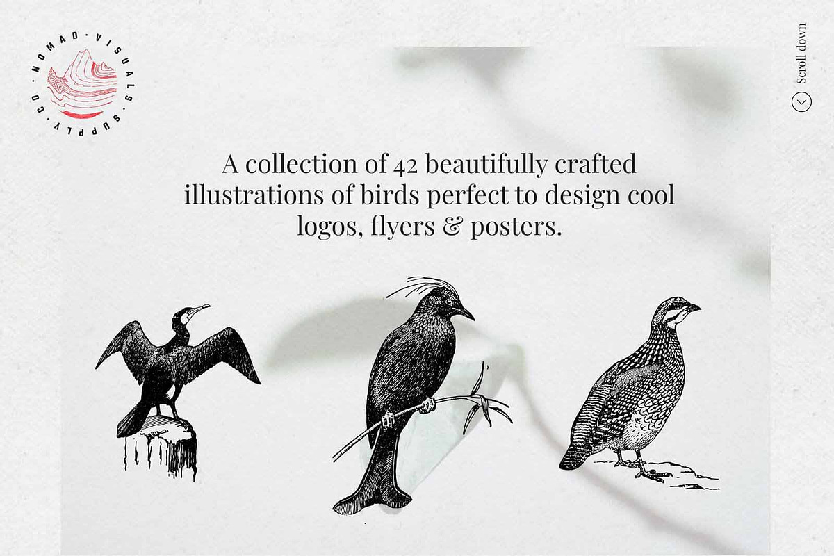 Vintage Bundle - 6600+ Illustrations, an Object Graphic by Nomad Visuals (Photo 16 of 46)