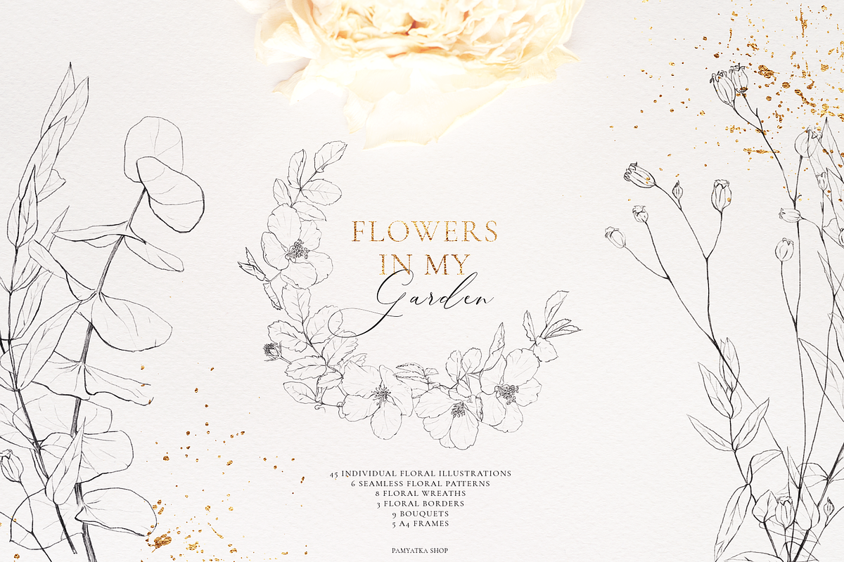 Wildflowers-Pencil sketch collection, a Decorative Illustration by Pamyatka Shop (Photo 13 of 13)