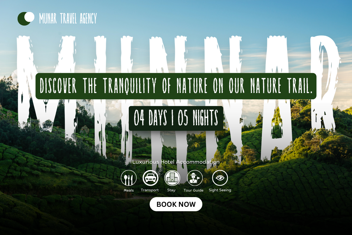 Raynexter – Condensed Brush Font, a Sans Serif Font by Fikryal Studio (Photo 4 of 11)