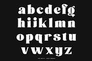 Britin Font, a Serif Font by Khoir (Thumbnail 11 of 12)