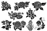27 Flowers and Patterns Set, a Graphic by Sunset&Sea Design (Thumbnail 3 of 5)