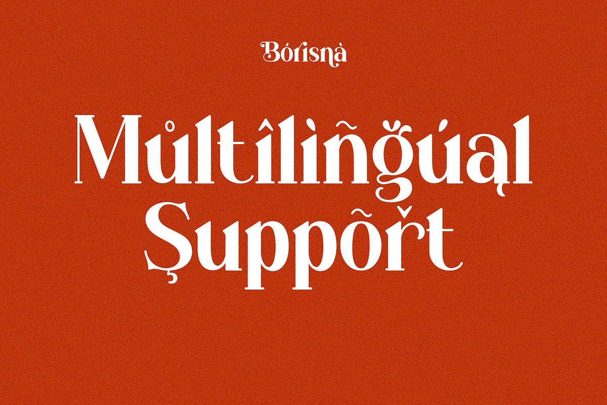 Borisna - Modern Display Serif Font, a Serif Font by Koplexs Studio (Photo 18 of 18)