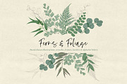 Ferns & Foliage Illustrations, an Illustration by Maggie Stilwell Design (Thumbnail 1 of 10)