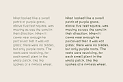 BEN - Typeface, a Sans Serif Font by Dat Do (Thumbnail 13 of 20)