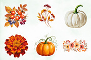 Watercolor Autumn Flower Pumpkin Png, an Illustration by Creative Art (Thumbnail 6 of 7)