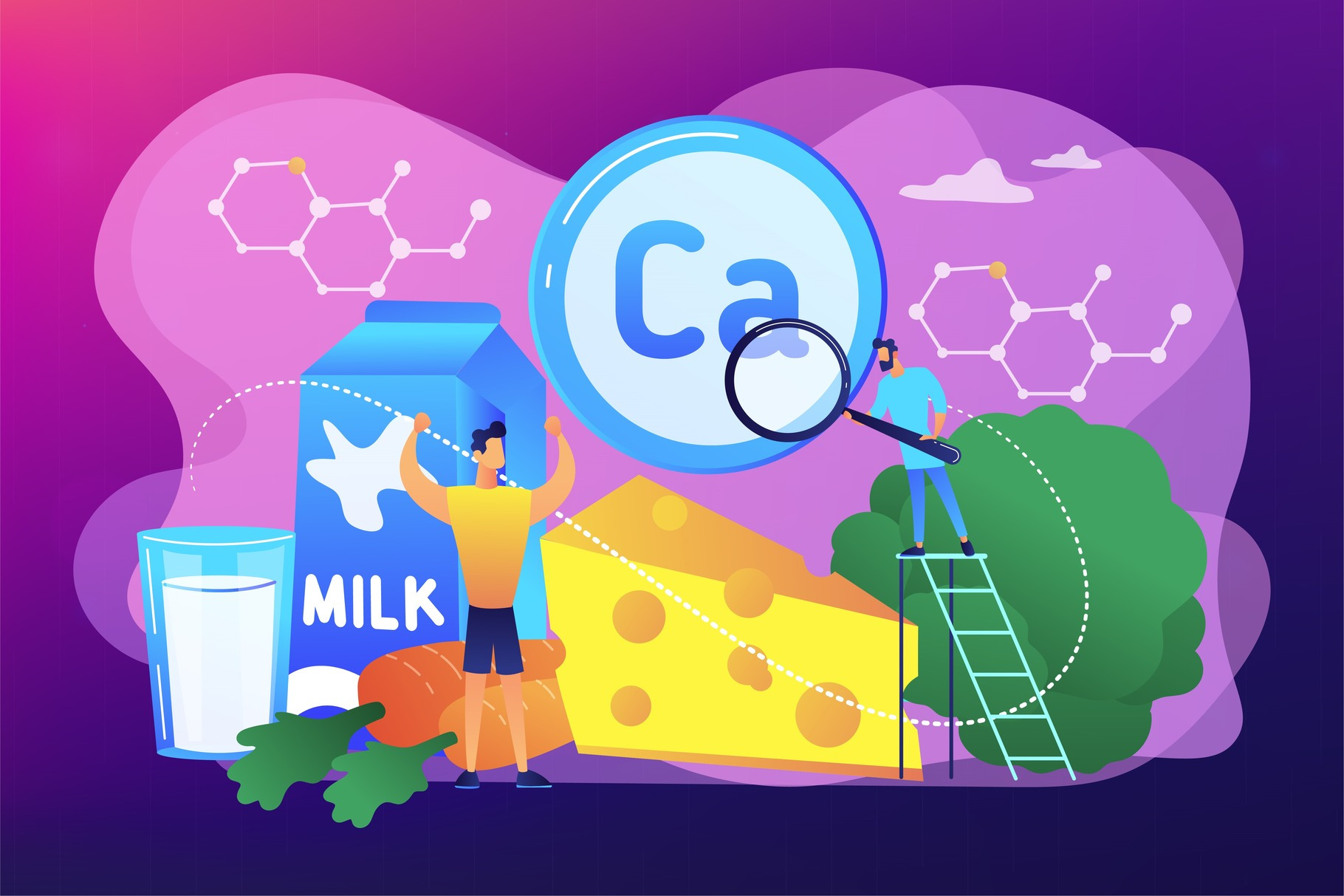 Uses of Calcium concept vector, a Food Illustration by Visual Generation
