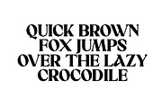 Sakem Elegance Serif Family (20 Font, a Font by Madjack.font (Thumbnail 19 of 20)
