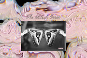 The Blush Error - Floral Backgrounds, a Wallpaper Graphic by Purple (Thumbnail 12 of 12)