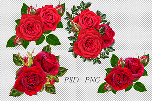 Collection Of Red Roses