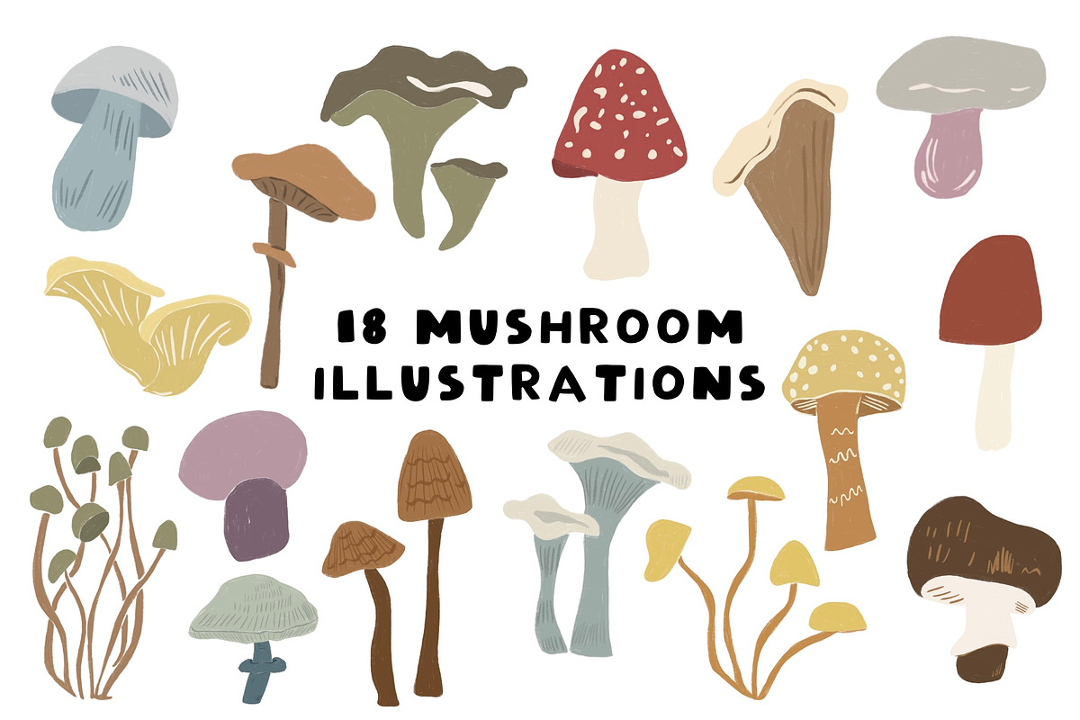 Mushroom Illustrations, a Food Illustration by Olive & Lu Paper (Photo 1 of 3)