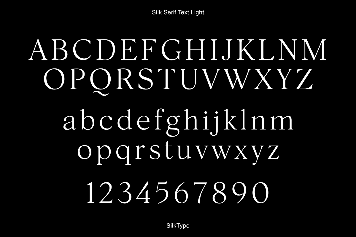 Silk Serif Text - 14 Font Family, a Serif Font by Silktype (Photo 13 of 14)