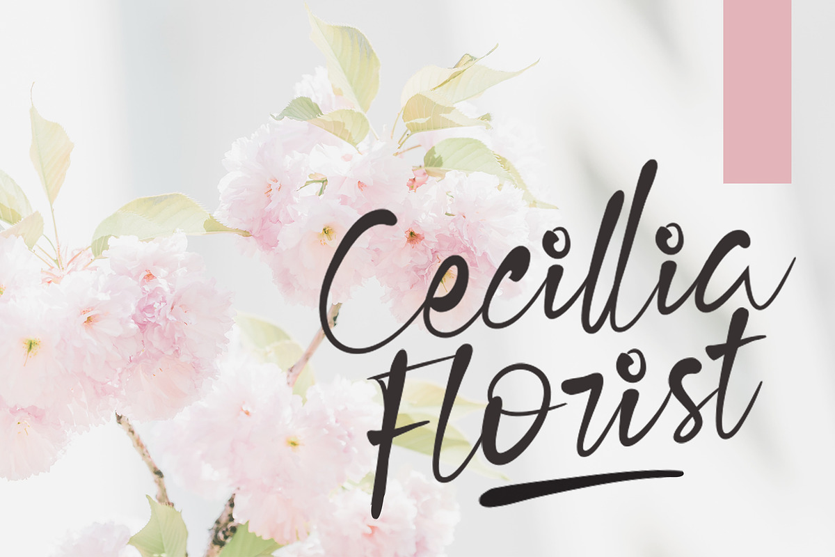 Cecillia - Script preview 3