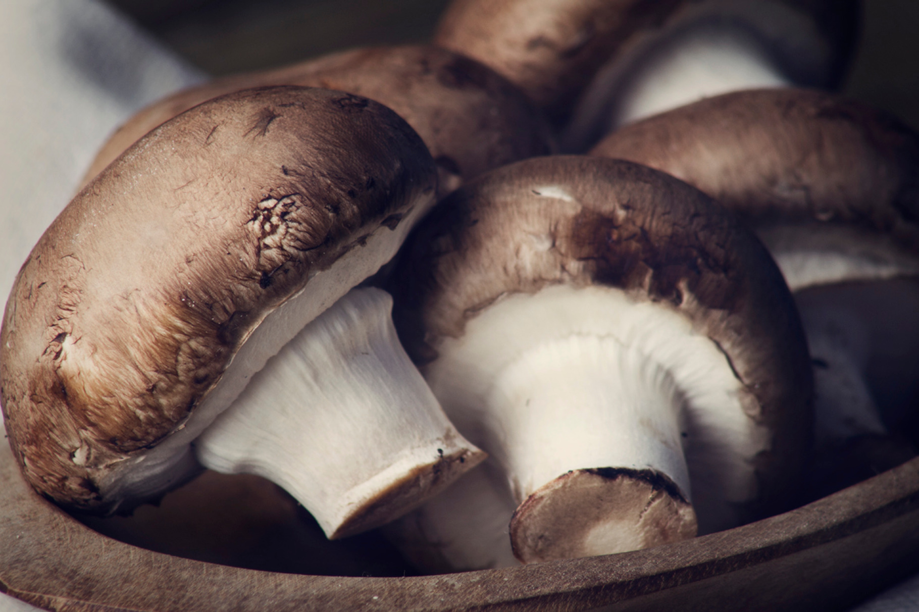 Mushrooms Stock Photo Containing Food And Foodie