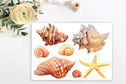 Watercolor starfish, shells, crabs, an Animal Illustration by Hanna Hryharenka (Thumbnail 9 of 12)