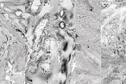 Marble Textures, a Texture Graphic by MatildeGraphics (Thumbnail 6 of 11)