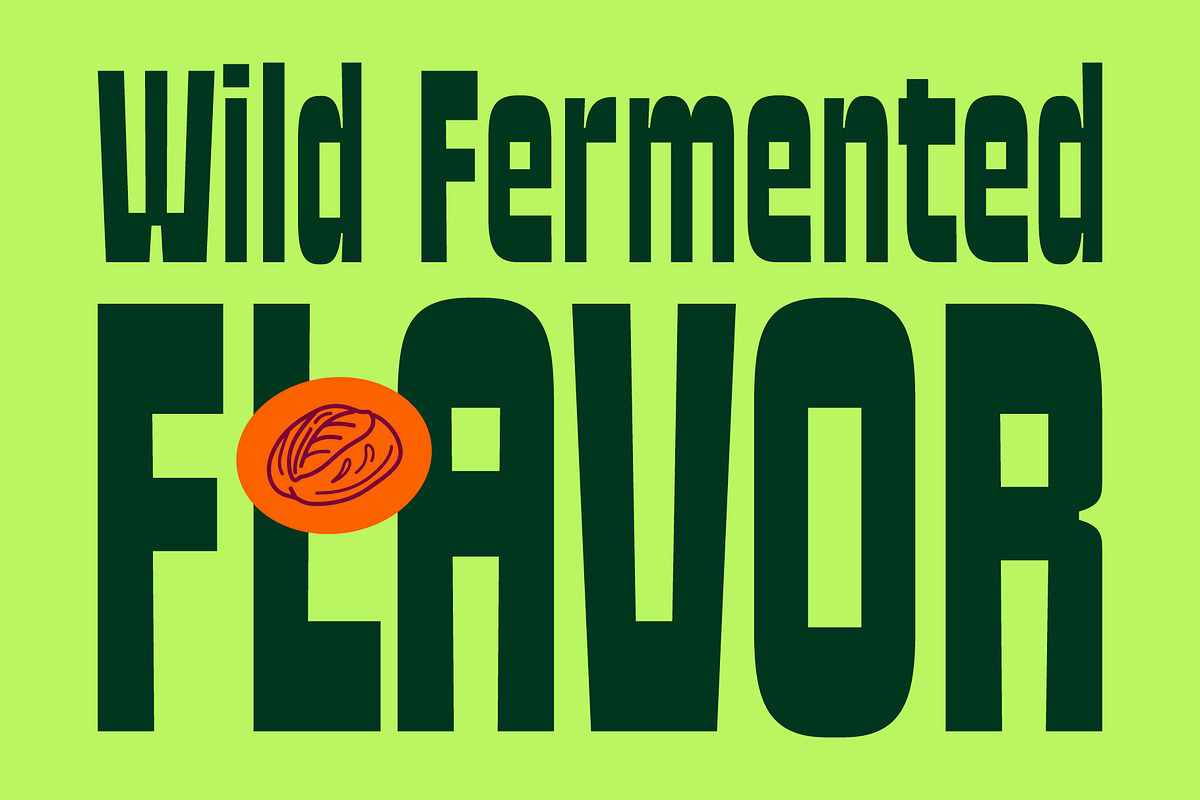 Oblq Mersive, a Sans Serif Font by Oblique Foundry (Photo 8 of 11)
