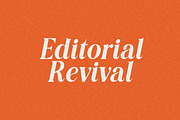 Editorial Revival Serif (70 fonts), a Serif Font by MaxArt Foundry (Thumbnail 28 of 30)