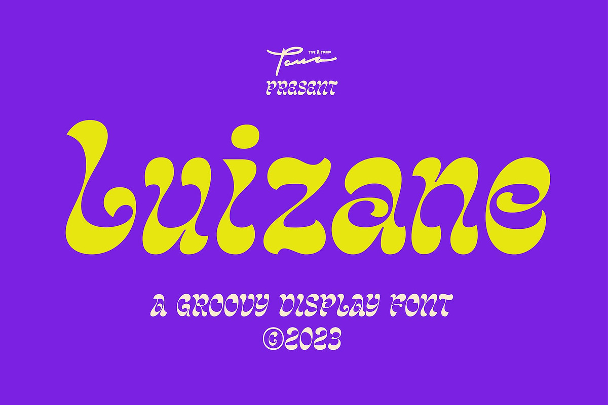 Luizane Groovy Font, a Font by Panatype™ Studio (Photo 9 of 10)