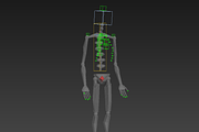 Human skeleton rigged, a Characters & Person 3D Model by konstantin.ermolaev (Thumbnail 25 of 27)