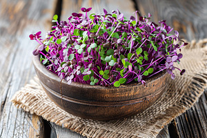 Fresh purple radish microgreen in bowl on wooden table, a Food & Drink Photo by AlyaAnd