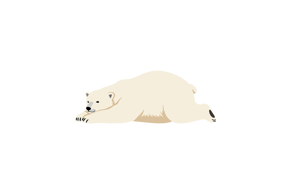 Polar bear lounging on the ice in a, an Illustration by designvectx