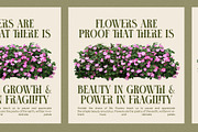Tronse Elegant Serif Font, a Serif Font by Perfectype (Thumbnail 5 of 8)