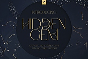 Hidden Gem Serif + Cyrillic and more, a Serif Font by VP Fonts (Thumbnail 1 of 22)