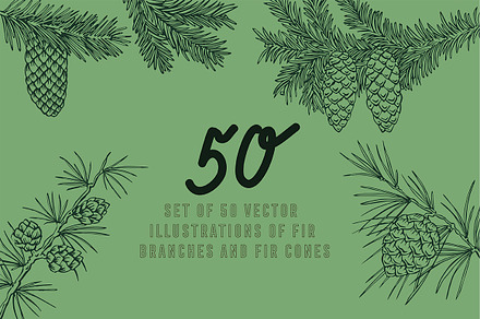 Vector fir branches