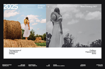 Moranta - Brand Identity KEY