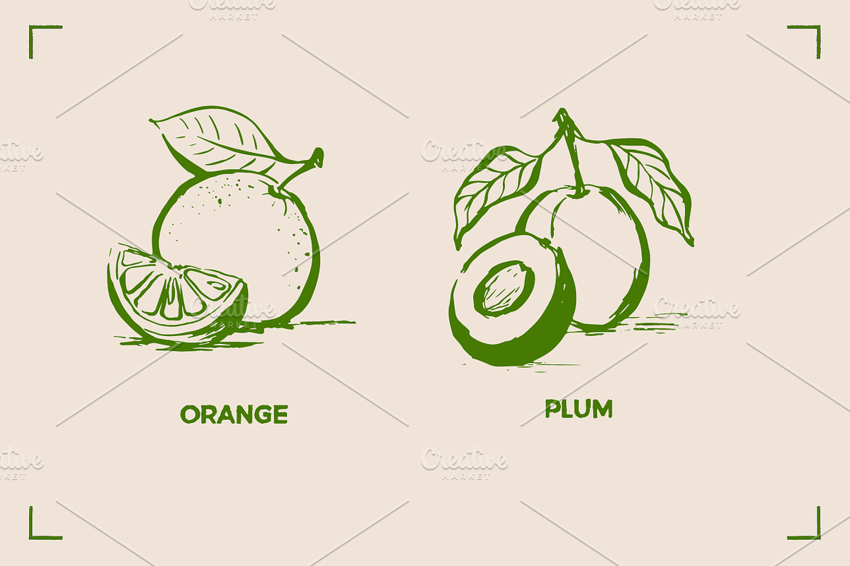 AROMATHERAPY (26 illustrations), a Healthcare Illustration by Bonfloret Studio (Photo 6 of 11)