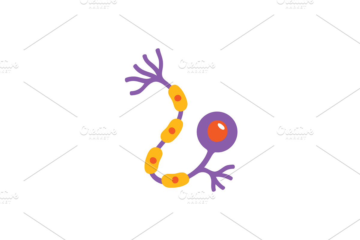 Neuron with round cell body and long, an Illustration by GraphiShop