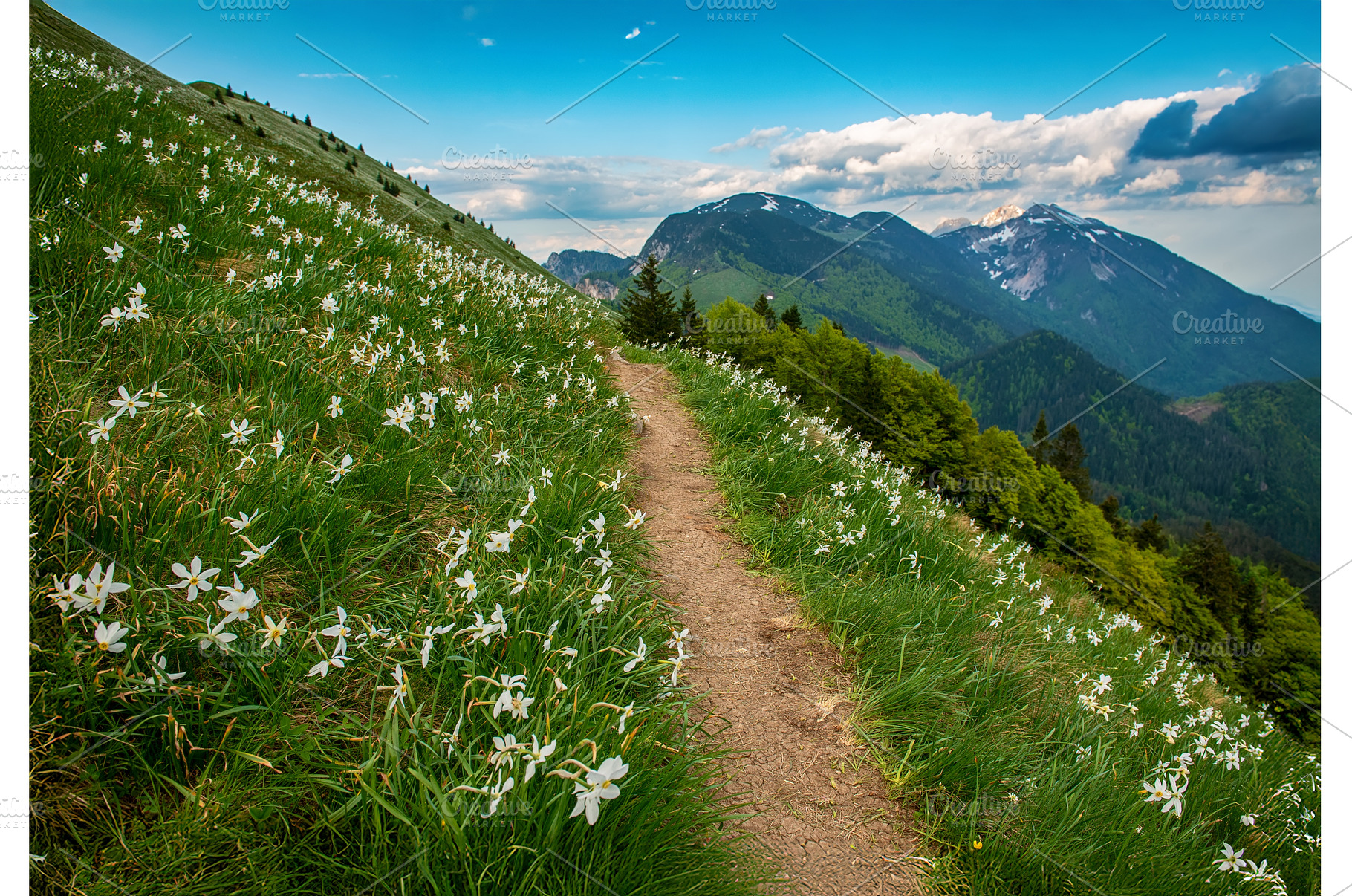 Beautiful mountain landscape with, a Nature Photo by Nature and travel