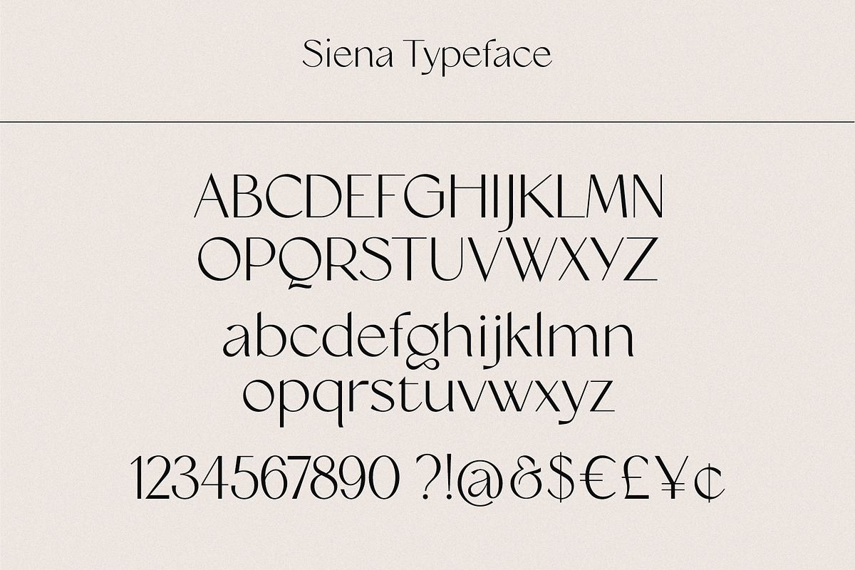 Siena Typeface, a Sans Serif Font by Ivan Rosenberg (Photo 14 of 16)