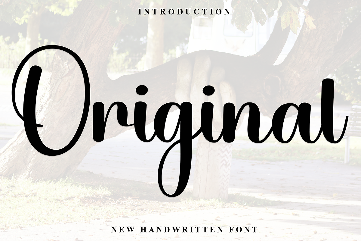 Original, a Script Font by FreshTypeINK (Photo 1 of 8)
