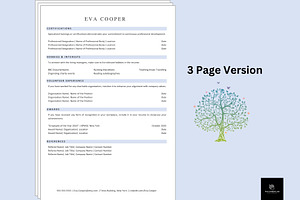 Functional Skills Based CV Template