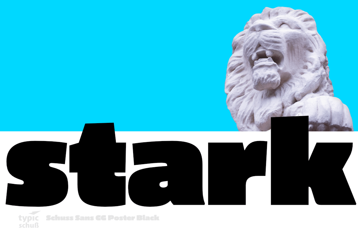 Schuss Sans CG Poster Black, a Sans Serif Font by typic schuss (Photo 12 of 15)