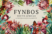 Watercolor Fynbos Flowers, a Decorative Illustration by Karliefie (Thumbnail 1 of 7)