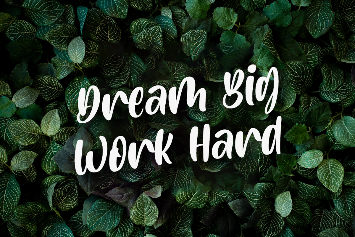 Bottania, a Script Font by RockboyStd (Photo 2 of 12)