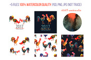 Watercolor roosters, an Illustration by Julycolor (Thumbnail 6 of 7)