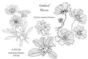 Flowers outlined