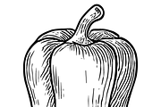 Vegetable Sketch Collection, an Object Graphic by nikagraphic (Thumbnail 3 of 3)