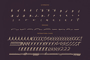 Skayhan Chester Bold Brush Font, a Script Font by Letterena Studios Script (Thumbnail 19 of 20)
