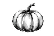 Watercolor Pumpkin Patch Bundle Art, an Illustration by BIPLOB EXPERT (Thumbnail 9 of 13)