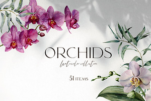 Orchid Watercolor flowers clipart, an Illustration by Yuliya Derbisheva