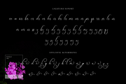 Bulvaryante - Romantic Calligraphy, a Script Font by RockboyStd (Thumbnail 11 of 12)