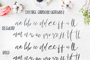 Cottage Gardens Script Font Duo