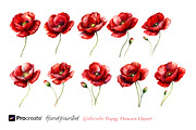 Watercolor Poppy Flowers Clipart, a Decorative Illustration by crafty (Thumbnail 7 of 8)