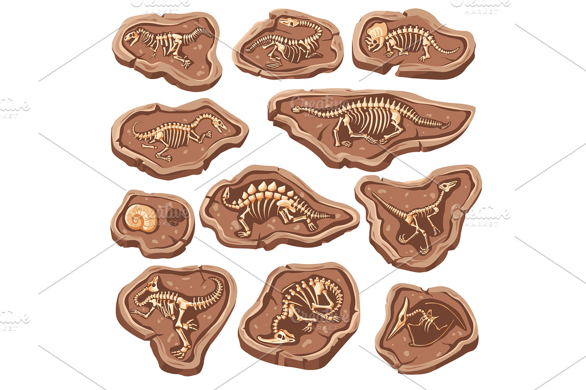 Dinosaur bones fossils. Reptile, a Graphic by Stock-Smart-Start
