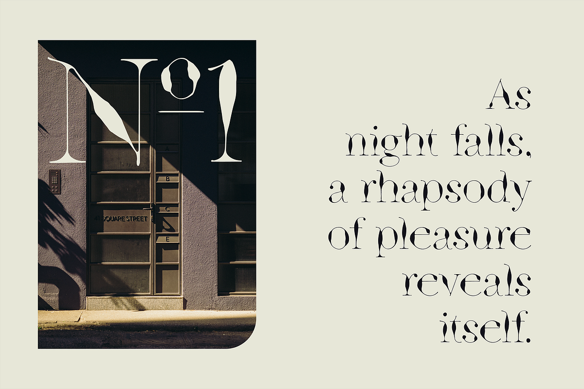 Ink Style Godwit Serif Font Family preview 6